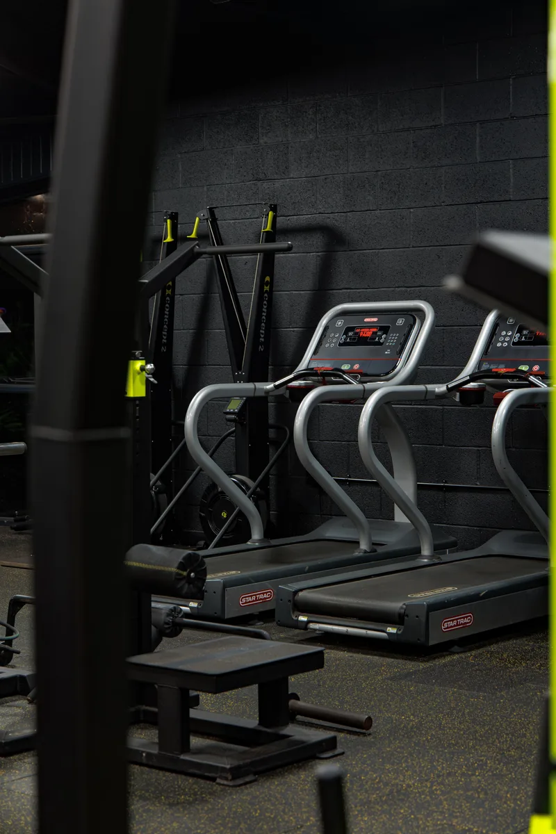 Cardio suite with treadmills, bikes, ski-ergs, and Stairmaster
